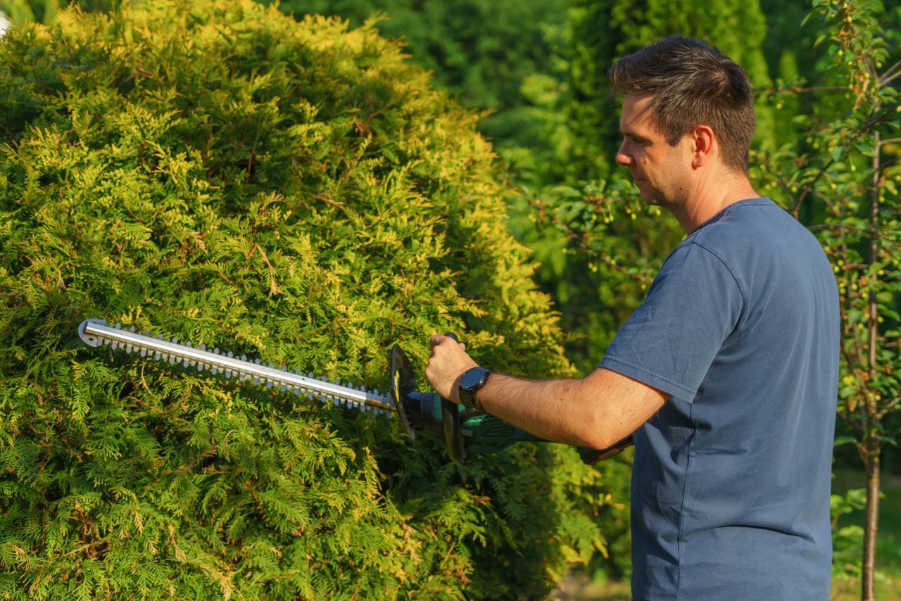 Hedges & Property Detailing in Madison, WI