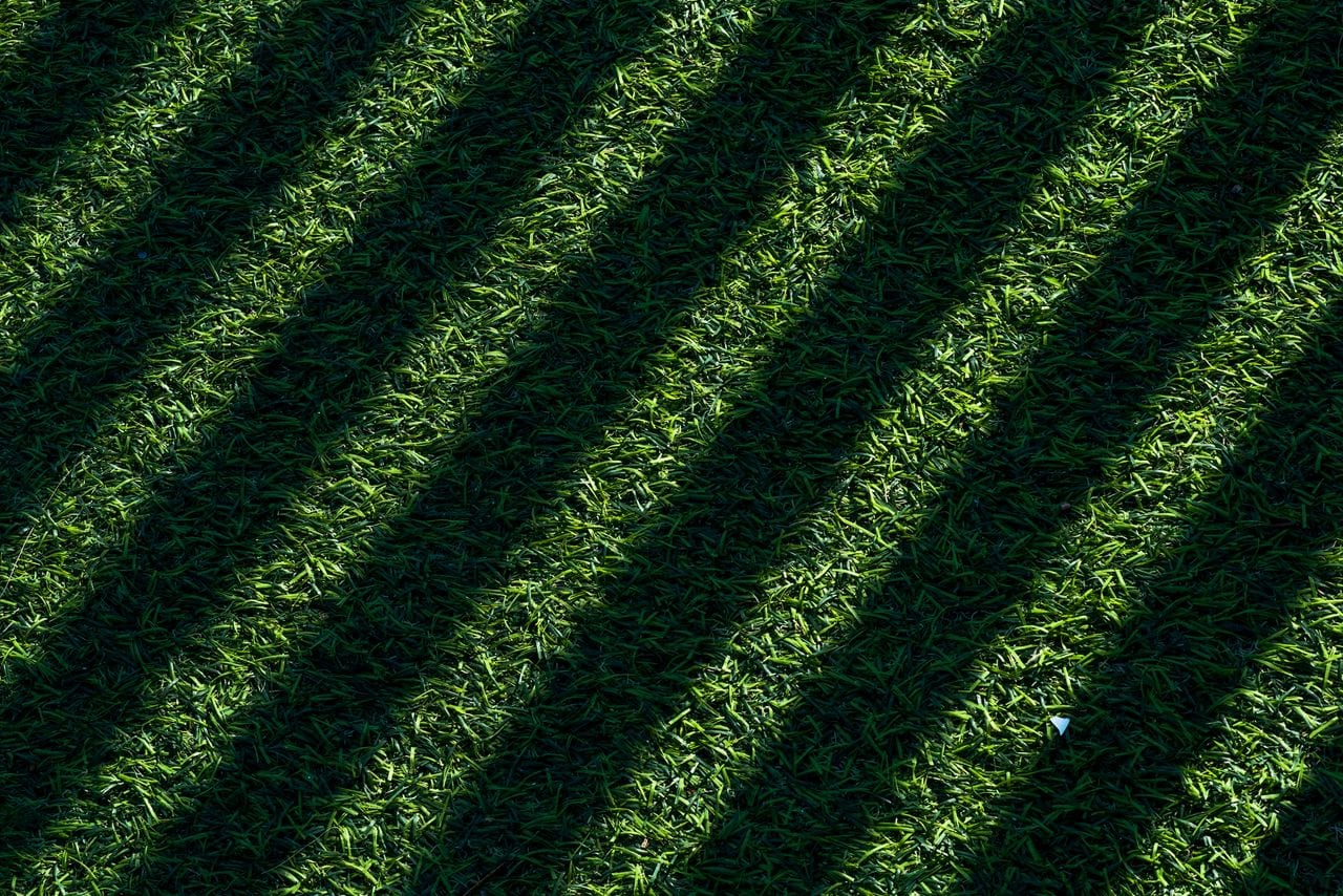 Lawn Care & Mowing in Madison, WI